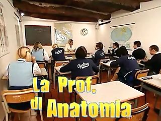 La Profesoressa Di Anatomia