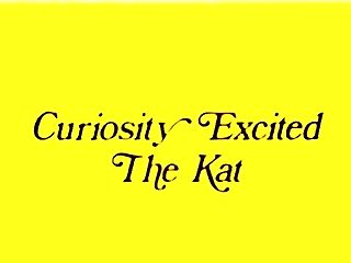 Curiosity Excited The Kat